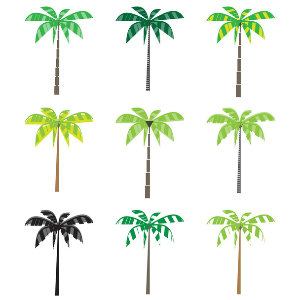 palmiers à cocos - Vecteur, image