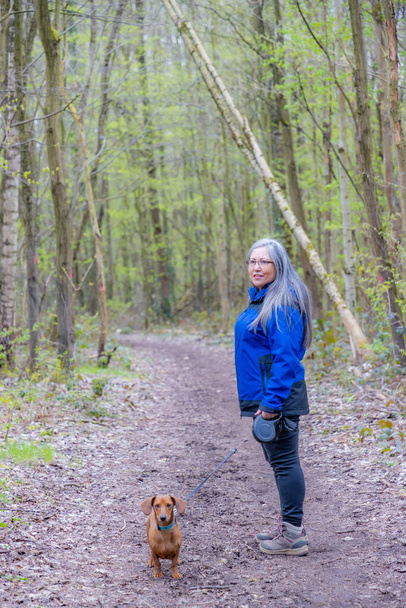 Senior felnőtt túrázó áll profilban nyomvonal mellett ő rövid hajú barna tacskó, erdős táj a háttérben, hosszú ősz haj, Strijthagerbeekdal Természetvédelmi Terület, Dél-Limburg, Hollandia - Fotó, kép
