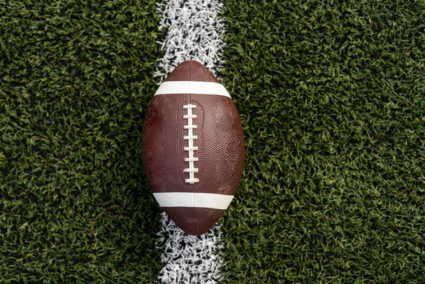 Fotografie rugby míče na trávě vedle bílé čáry, pořízená shora. - Fotografie, Obrázek