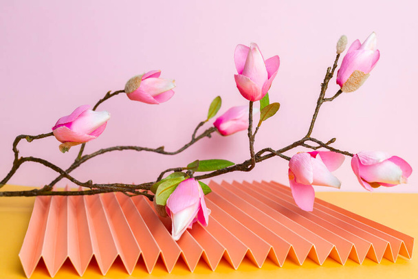 Una rama Sakura Aislada sobre fondo rosa. espacio de copia. - Foto, imagen