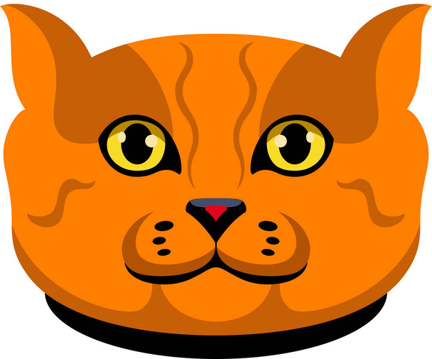Portrait of red cat, isolated - Vector, Image