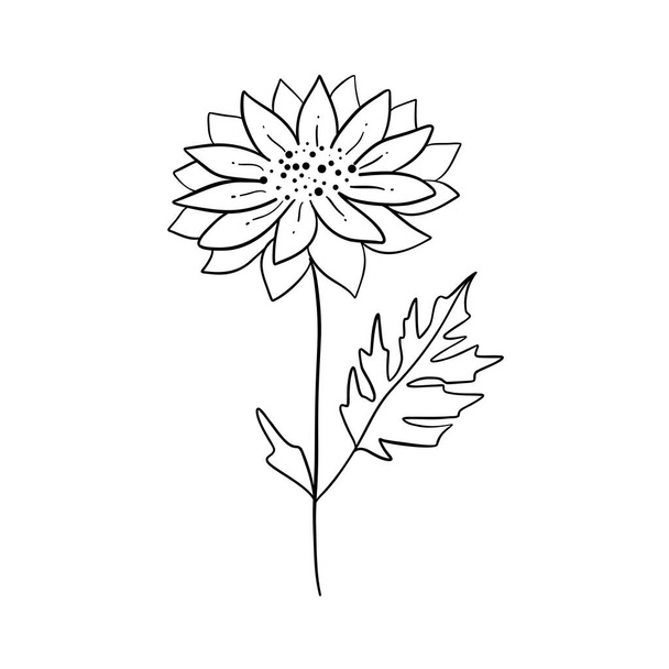 白い背景に隔離された草、花、ハーブの黒いシルエット。手描きのスケッチ花や昆虫. - ベクター画像