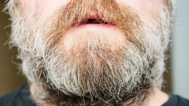 A man with a beard speaks slowly. A sick maniac in a mental hospital with a large untidy beard says something very quickly and licks his lips. Part of the male face with a gray beard close-up - Footage, Video