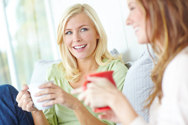 最新のゴシップに追いつく。二人の魅力的な若い女性が一緒にコーヒーを飲みながら笑う - 写真・画像