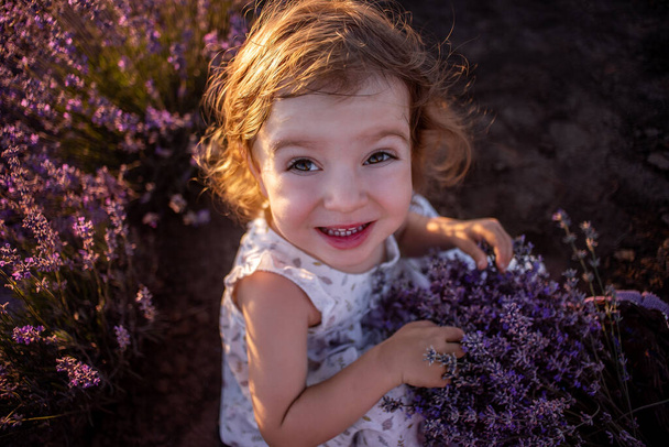 Top view portrait of little girl in flower dress, sitting in field among the rows, collecting bouquet of purple lavender in wicker basket at sunset. Walk in the countryside. Allergy concept. Nature - Фото, изображение