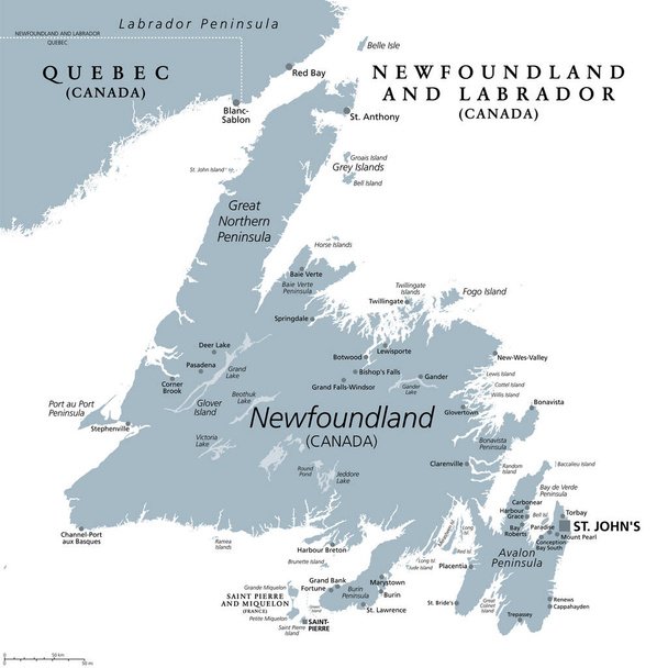 Új-Fundland szigete, szürke politikai térkép. Új-Fundland kanadai tartomány és Labrador része St. Johns fővárossal. Sziget a szárazföld partjainál Észak-Amerika a Labrador-tengertől délnyugatra. - Vektor, kép