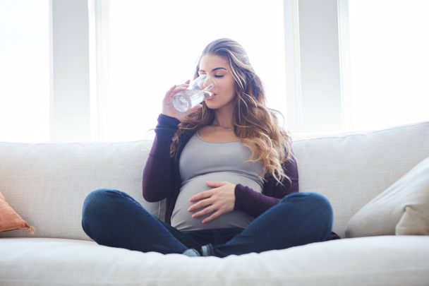 Pysyn nesteytettynä kaksi vuotta. Täyspitkä laukaus houkutteleva nuori raskaana oleva nainen juomaveden istuessaan sohvalla kotona - Valokuva, kuva