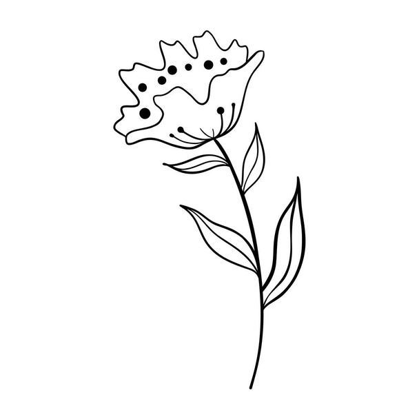 Siluetas negras de hierba, flores y hierbas aisladas sobre fondo blanco. Bosquejo dibujado a mano flores e insectos. - Vector, Imagen