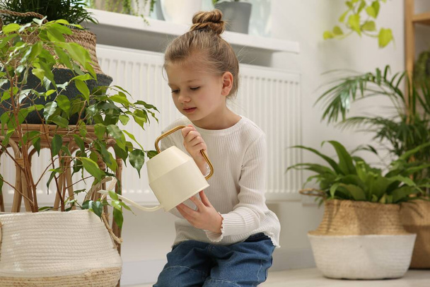Cute little girl watering beautiful green plant at home. House decor - Zdjęcie, obraz