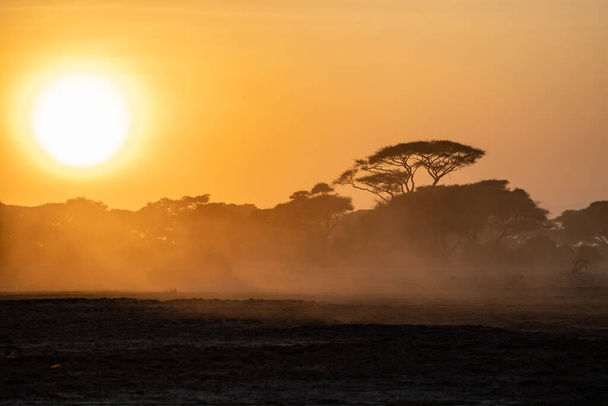 Vista sulla silhouette al tramonto nel Parco Nazionale di Amboseli con un iconico cielo arancione e ombrello spinoso in acacia. Un sacco di polvere nell'aria - Foto, immagini