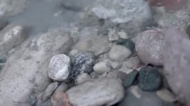 Szürke kövek közelsége tiszta vízzel. Készletfelvétel. Kövek tiszta vízben, hullámokkal a felszínen. Kövek a tiszta forrásvízben.  - Felvétel, videó