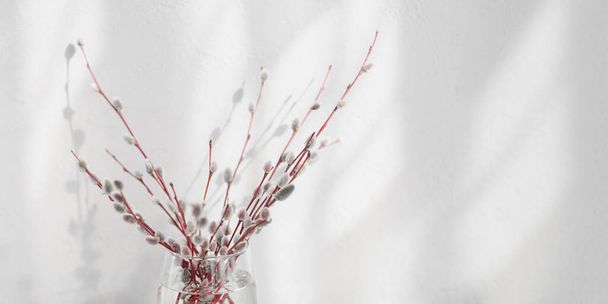 Composition in style of minimalism. Fresh willow branches in vase on white background with shadows and sunshine. Spring background with Free copy space for text - Fotó, kép