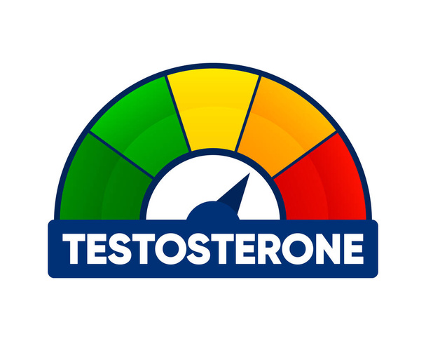 Miernik testosteronu. Skala pomiaru poziomu hormonów. Molekularna chemiczna formuła hormonu płciowego. Męski hormon. Ilustracja wektora - Wektor, obraz