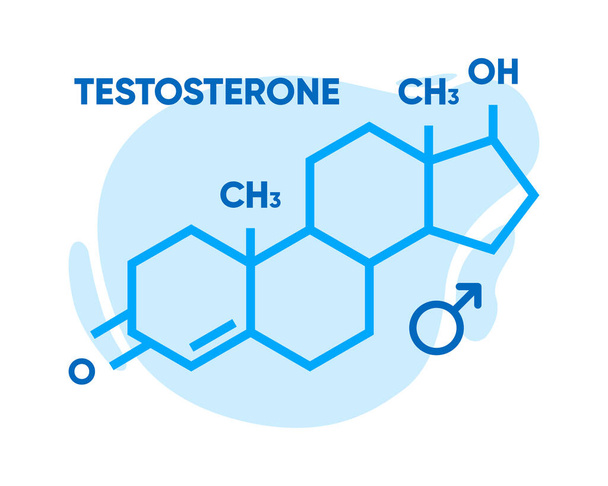 A tesztoszteron jele. Csontváz képlet logó. A nemi hormon molekuláris kémiai képlete. Férfi nemi hormon. Vektorillusztráció - Vektor, kép