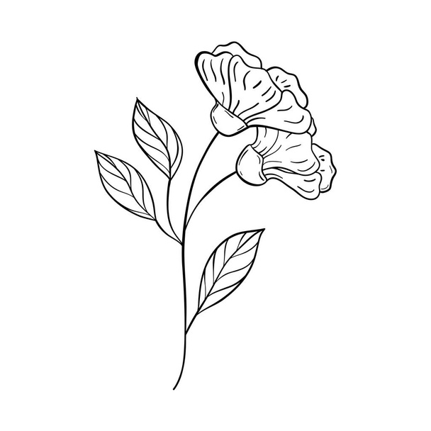Schwarze Silhouetten von Gras, Blumen und Kräutern isoliert auf weißem Hintergrund. Handgezeichnete Skizze von Blumen und Insekten. - Vektor, Bild