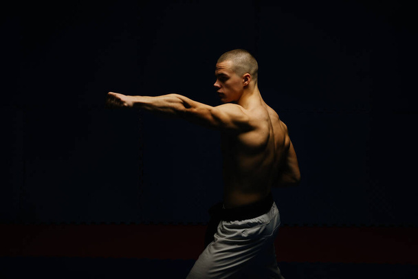 Lähikuva hyvännäköinen nuori mies tekee Gyaku tsuki karateklubilla - Valokuva, kuva