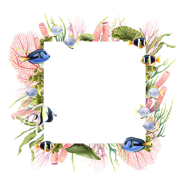 Watercolor square frame border with sea corals, plants and tropical fish. Hand drawn underwater floral illustration isolated on white background. For clip art, cards, packages, invitation - Photo, Image
