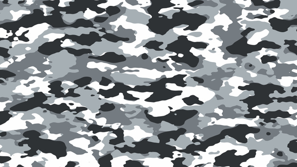 Světle šedá nebo černobílá kamufláž. Vojenská kamufláž. Formáty ilustrací 8K UHD - Fotografie, Obrázek