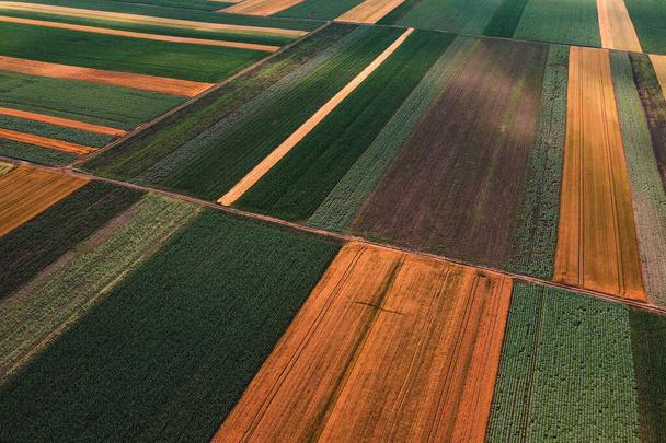 Abstrakti maatalouden tausta, kaunis värikäs tilkkutäkki kuvio viljeltyjen kenttien drone näkökulmasta - Valokuva, kuva