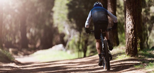 夏の山の森の風景の中で自転車に乗るマウンテンバイクの男 - 写真・画像