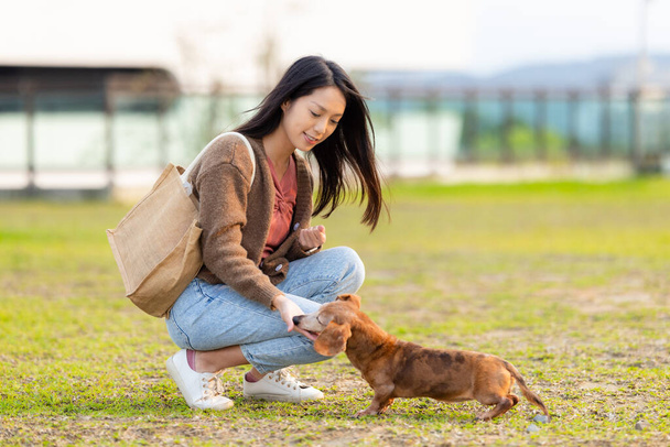 Frau füttert ihren Dackelhund im Park - Foto, Bild