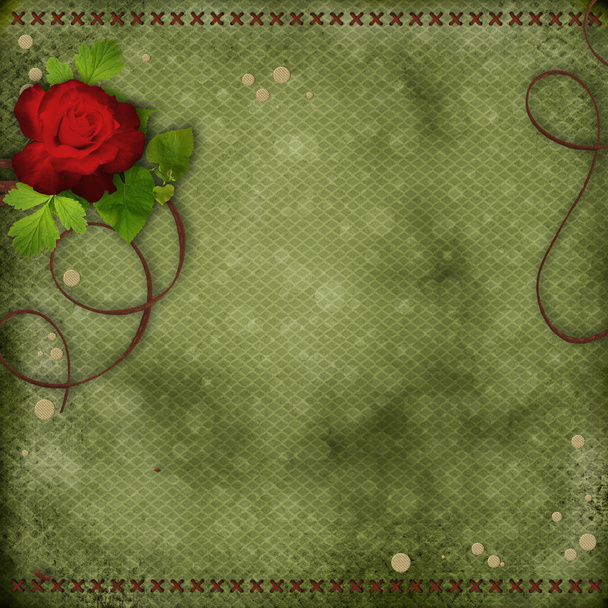 Beautiful background with red rose - Φωτογραφία, εικόνα