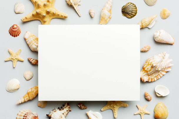 Summer time concept with blank greeting card and blank white paper on colored background. Seashells from ocean shore in the shape of frame separated with space for text top view. - Foto, imagen