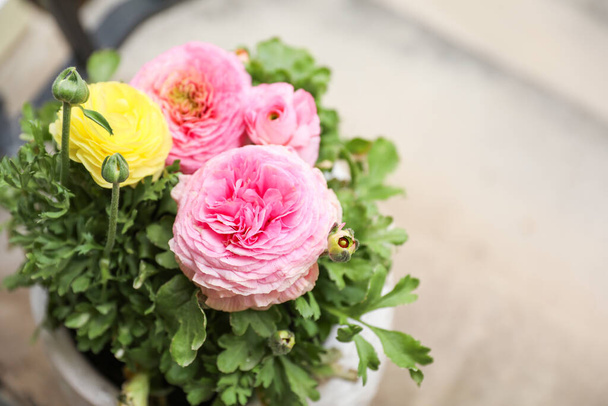 Ranunculus symbolize charm, beauty, and radiance. They are popular for their vibrant colors and delicate petals, often associated with love and affection - Foto, Bild