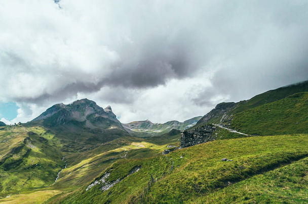 Yeşil çimenler ve dağ zirveleriyle yaz dağı manzarası. İsviçre Alpleri - Fotoğraf, Görsel