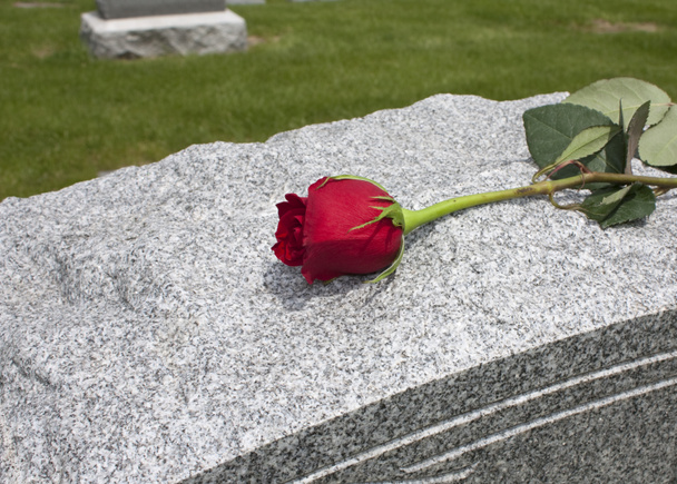 Rose sur une tombe
 - Photo, image