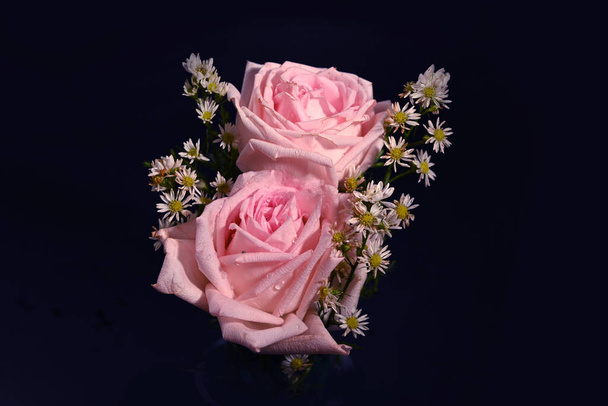 Detailní záběr krásné růže na tmavém pozadí - Fotografie, Obrázek