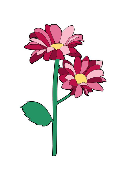 Vektor illusztrációja két virág, fájl EPS 10 - Vektor, kép