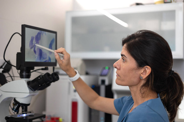 veterinario toccando il display digitale del microscopio. - Foto, immagini