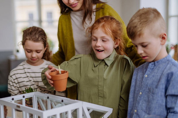 Young teacher learning her pupils how to take care about plants. - Foto, Bild