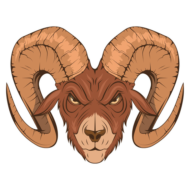 Ram head. Vector illustration of a goat. Domestic lamb. Angry sheep - ベクター画像