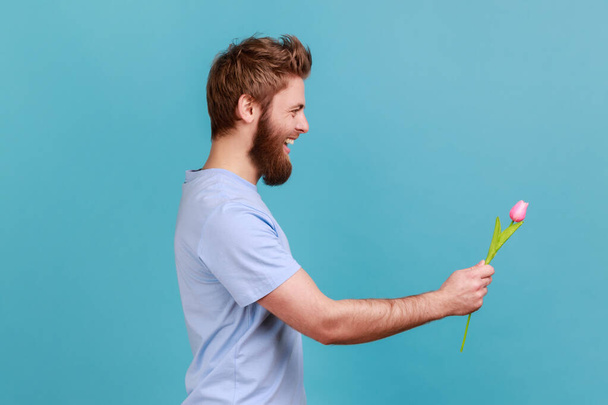 Side view of excited positive handsome young bearded man standing, holding and giving rose tulip flower and looking smiling ahead. Indoor studio shot isolated on blue background. - Fotografie, Obrázek