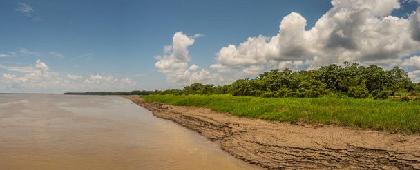 Banco del río Amazonas durante la temporada baja de agua. Vista panorámica desde la cubierta de un barco de carga Amazonia. Perú. América del Sur. - Foto, Imagen