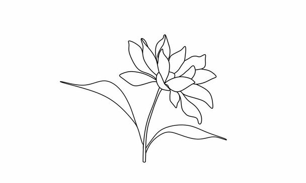 Arte de la línea de flores de loto. O por otro nombre Nymphaea. Arte de línea simple. Fondo blanco aislado - Vector, Imagen