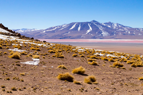 Krajina Laguna Colorada, Bolívie. Krásné bolivijské panorama. Laguna Rudá voda - Fotografie, Obrázek