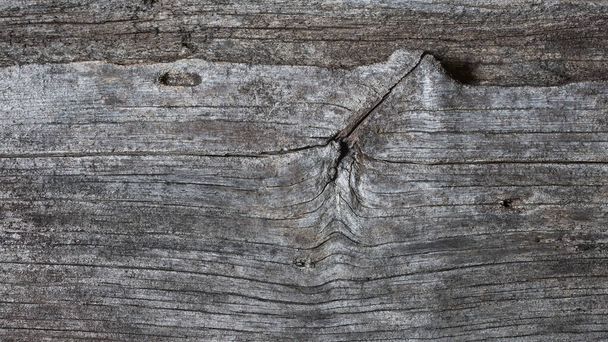 old wood background texture, naturally weathered and eroded by time wooden surface for photography rustic backdrop with cracks, neutral tone wallpapers with copy space for designing - Photo, Image