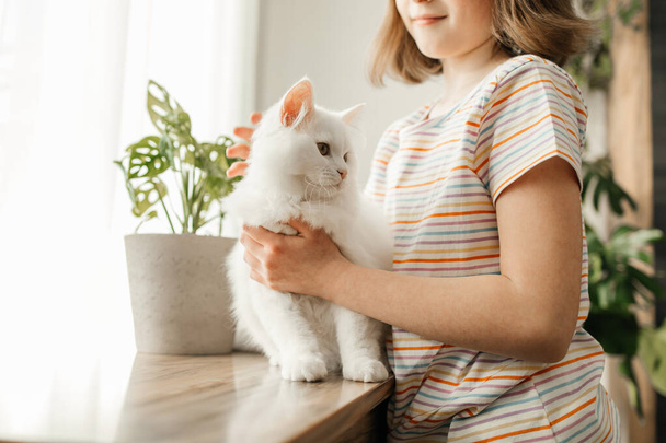 Dziewczyna bawi się ze swoim ukochanym puszystym, białym kotkiem. Dziecko pieści kota. Przywiązanie między dziećmi a zwierzętami. Śmieszne życie kotów w domu. - Zdjęcie, obraz