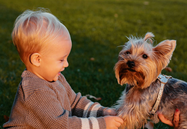 Simple happiness. Toddler boy enjoy autumn with dog friend. Small baby toddler on sunny autumn day walk with dog. Happy childhood. Sweet childhood memories. Child play with yorkshire terrier dog. - Photo, Image