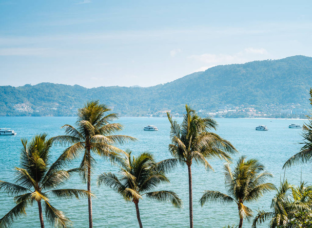 Árboles de coco en la playa de la isla y vacaciones de verano, viaje a la isla - Foto, Imagen