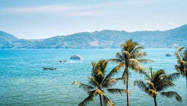 Деревья кокоса на пляже острова и летний отдых, поездка по острову - Фото, изображение