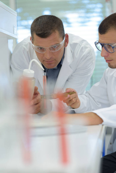 men in the lab doing research examination - Zdjęcie, obraz