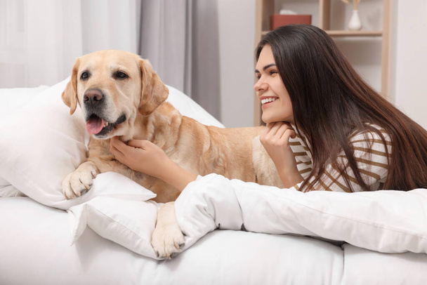 Happy woman with cute Labrador Retriever on bed at home - 写真・画像