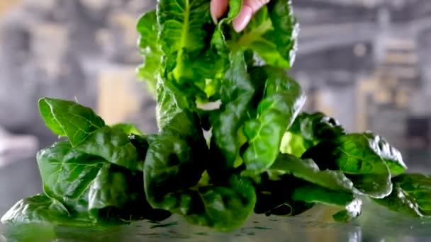 Kobieta myjąca warzywa pod bieżącą wodą. Wysokiej jakości materiał filmowy FullHD - Materiał filmowy, wideo