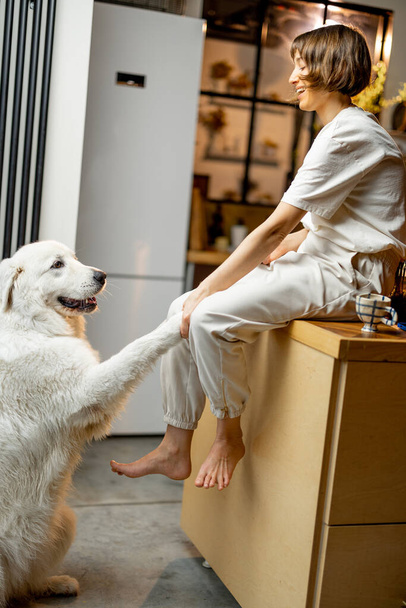 Genç bir kadın koca beyaz köpeğiyle oynuyor, evde mutlu mesut vakit geçiriyorlar. Evcil hayvanlarla ve evcil yaşam tarzıyla arkadaşlık kavramı - Fotoğraf, Görsel