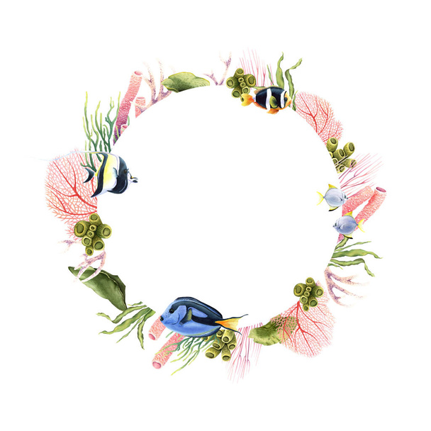 Στεφάνι ακουαρέλας με κοράλλια, φυτά και τροπικά ψάρια. Χειροποίητη υποβρύχια floral απεικόνιση που απομονώνεται σε λευκό φόντο. Για clip art, κάρτες, πακέτα - Φωτογραφία, εικόνα