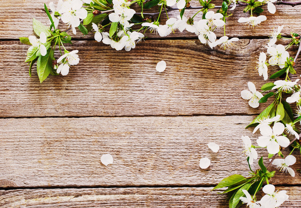 flowers on wooden background - Photo, image